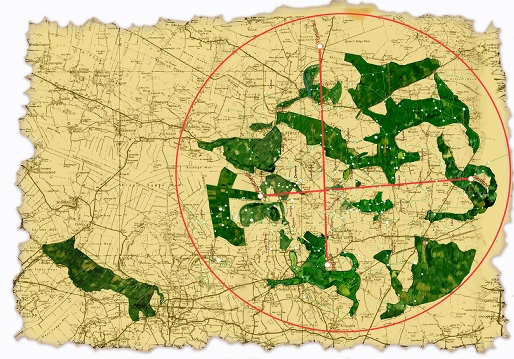 Glastonbury Zodiac and Girt Dog of Langport